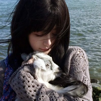 数码宝贝大冒险tri. 第1章：再会