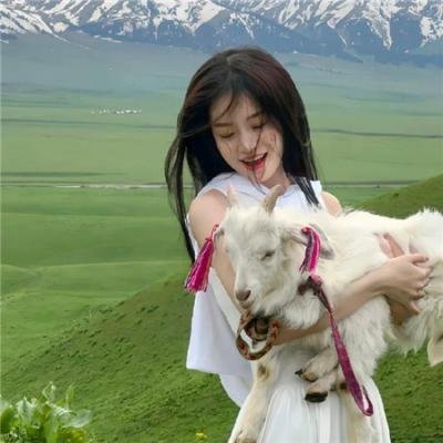 熊熊勇闯异世界第二季